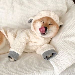 Meet your Posher, Dong